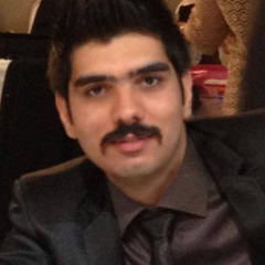 meisam hoseini
