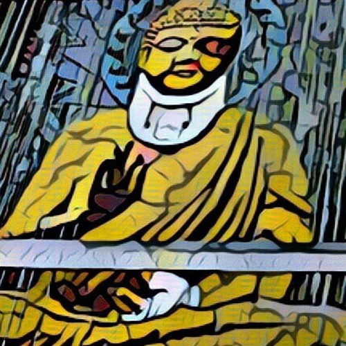 The Imperfect Buddha Podcast’s avatar