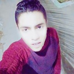 Mohamed elshawiesh