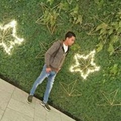 Adel Alrmlawe
