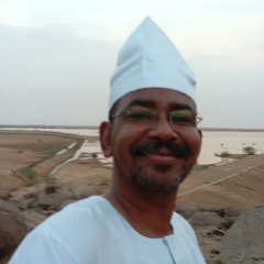 عبدالعزيز محمد داؤد