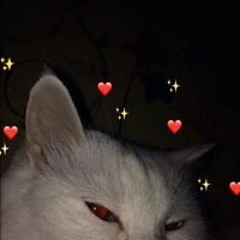 gnart