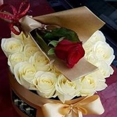 safy