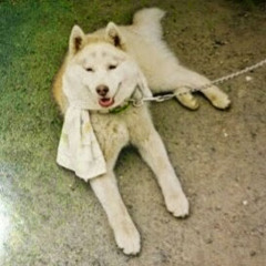 鈴木敬子 S Stream