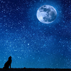 bluemoon