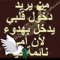 +٨٢٢٨