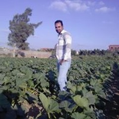 أحمد سمير