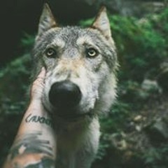 Никита Ястребов