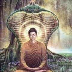 Yk ChAnq ĐôNq