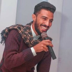 حسام حسن