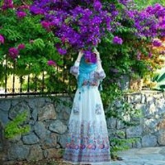 علاء الصاوي