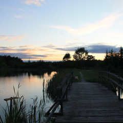 benibär