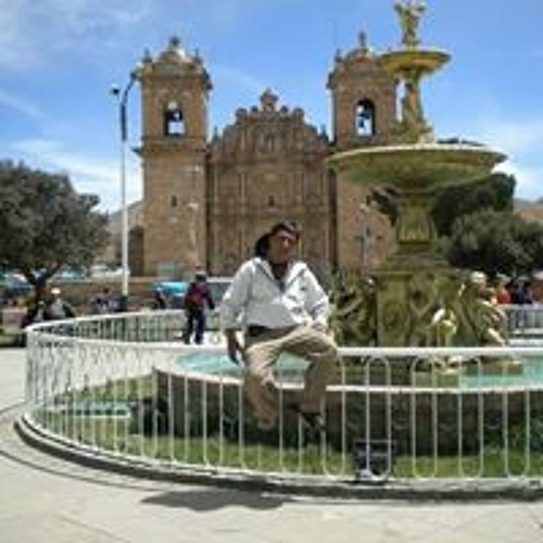 Gelmer Moises Felix Cruz’s avatar