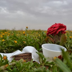 محمد توتو