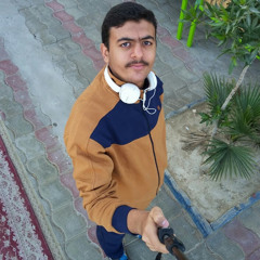 ahmad ghowsi