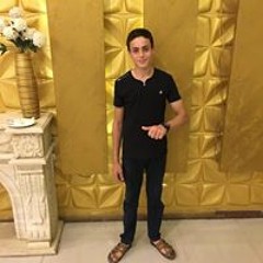 Ahmad ELtohamy Salem