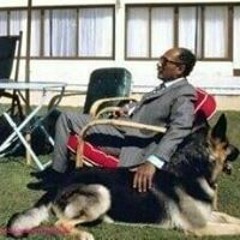 خالد الورداني