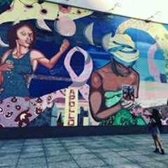 mai / rf