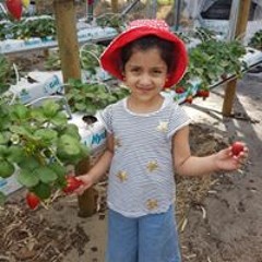 Mehwish Zain