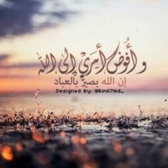 maram mohi eldin