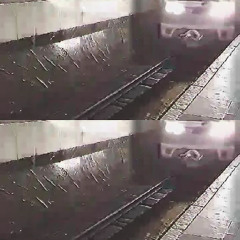 THE YOUNG MAN THAT HID HIS BODY INSIDE A HORSE