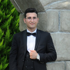 Hamidreza Rezaei