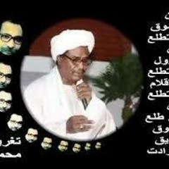 ياضلنا ياضلنا