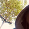 Chayenne