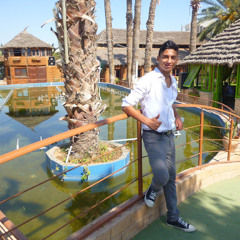 mohamed bemri