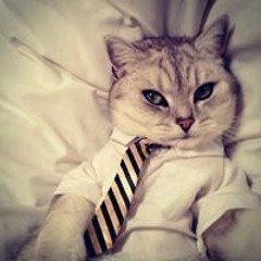 Станислав Акименко