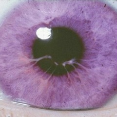 Серёжик Кисик