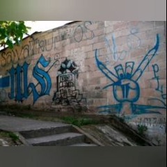 Lirizzyta Criminal