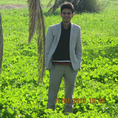Abouzar Gholami