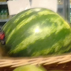 Wet Watermelon