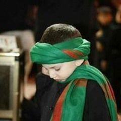 Mahmoud Elhr
