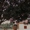 RidhoTrg