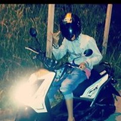 david
