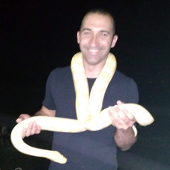 Igor Curic