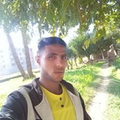 مجدي الشناوي