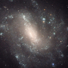 Galaxy Cousine