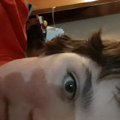 Simon-Olivier prince