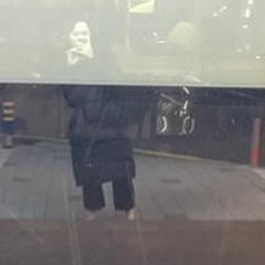 수연