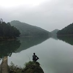 Tu Koi