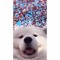 An