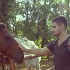 Мистер Кит
