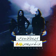 S Ameer Hussain shah