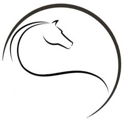 Horse Decorat