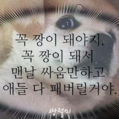 알로항