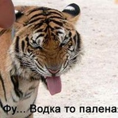 Филип Петренко