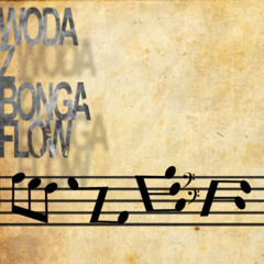 Wodo Bongowy